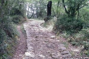 Sa Savine se nose džakovi zemlje, a bršljen guši park