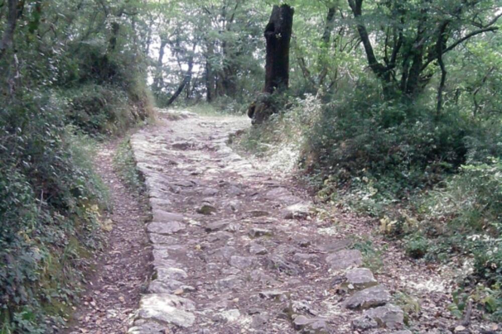 savina, Foto: Slavica Kosić