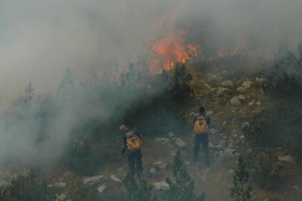 požar, Župa, Foto: Ivan Petrušić