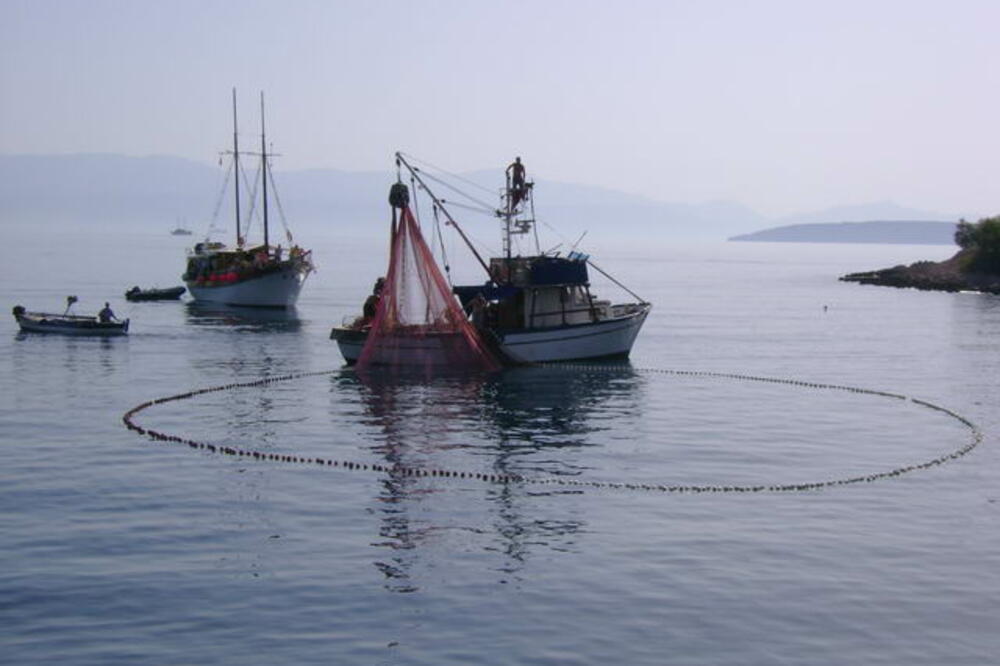 ribari, lakicevicic, Foto: Željko Komnenović