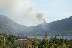Požar u Lastvi grbaljskoj, ponovo gori i na Vrmcu
