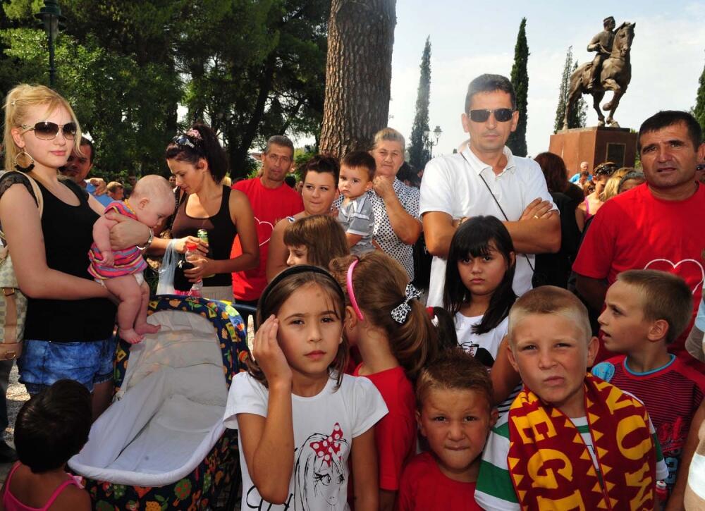 Vračani protest, Vrake