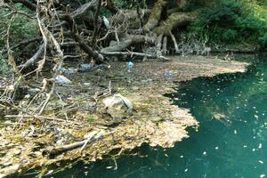 Akcija "Za zeleniju Zetu" se nastavlja u subotu