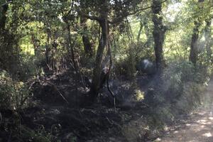 Pobjegao piroman koji je palio na Savinskoj dubravi