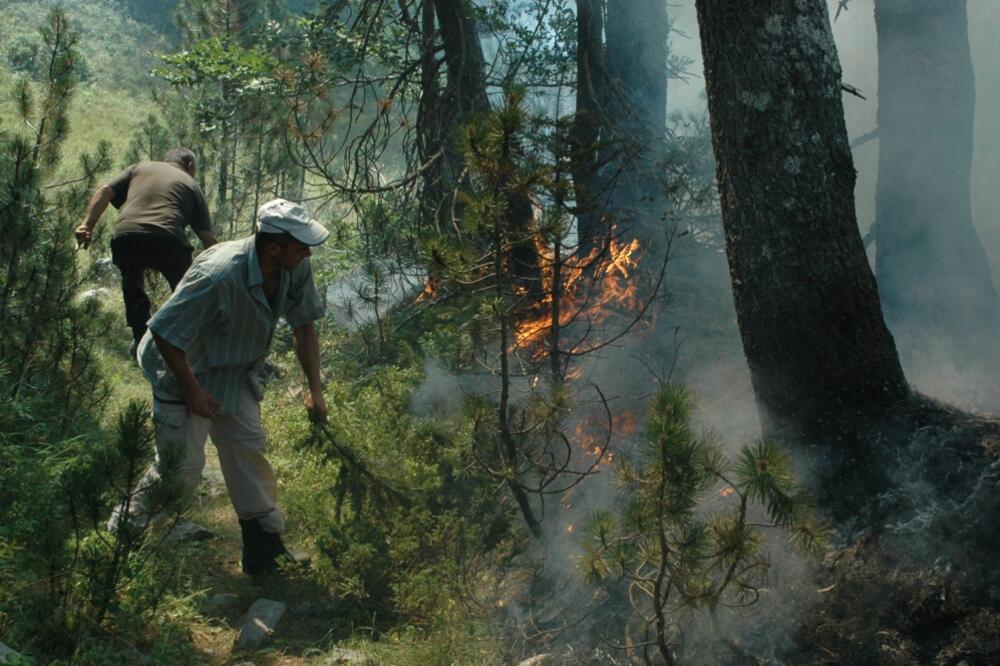 požar, Župa, Foto: Ivan Petrušić