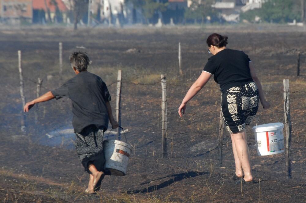požar, sadine, Foto: Zoran Đurić