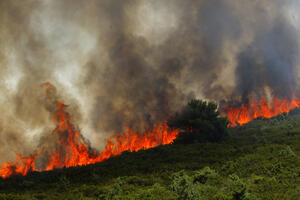 Izbio požar na miniranom području u Dalmaciji