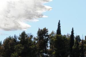 Četiri aviona gase požar u Rogamima