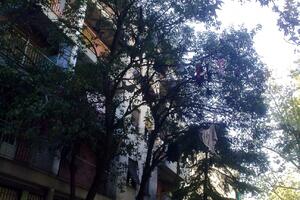 Čitalac reporter: Počelo kićenje grada!?