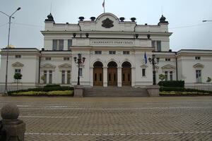 Bugarin paradajzom gađao zgradu parlamenta