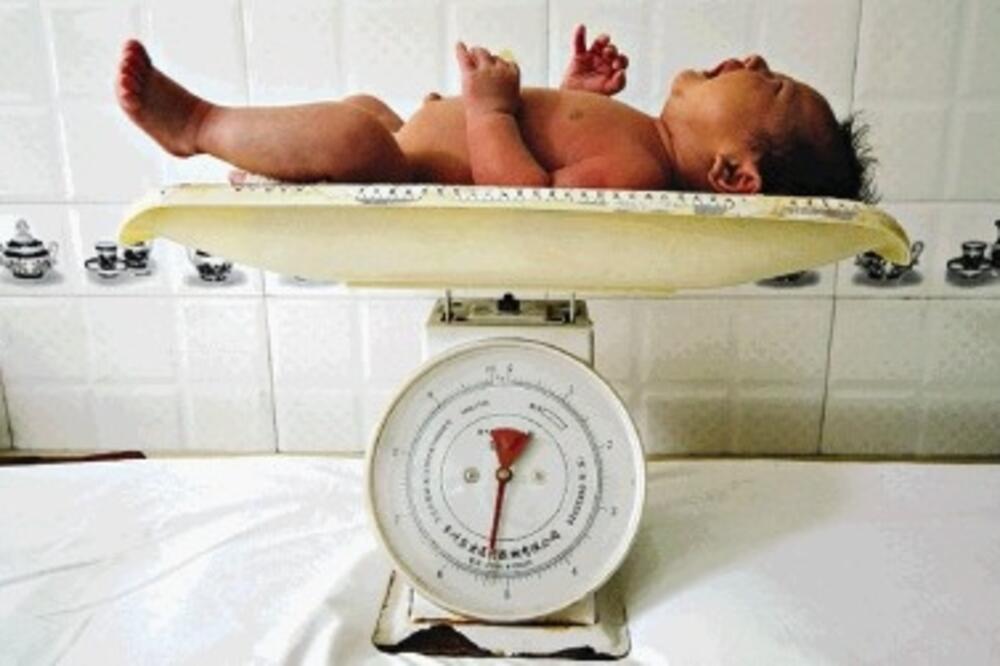 s1611_1, Foto: Delo.si