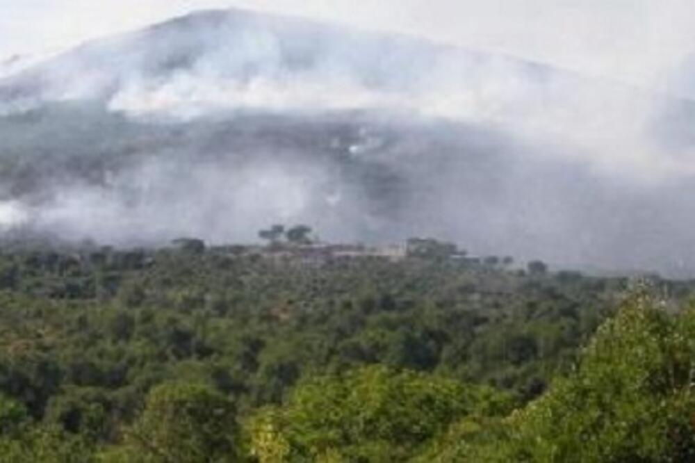 bigovo, pozar, Foto: Radiokotor.com