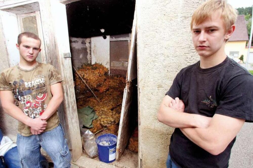 njemci, Foto: Bild.de