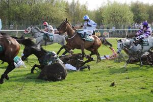 Festivali u kojima učestvuju životinje zabranjeni u Italiji