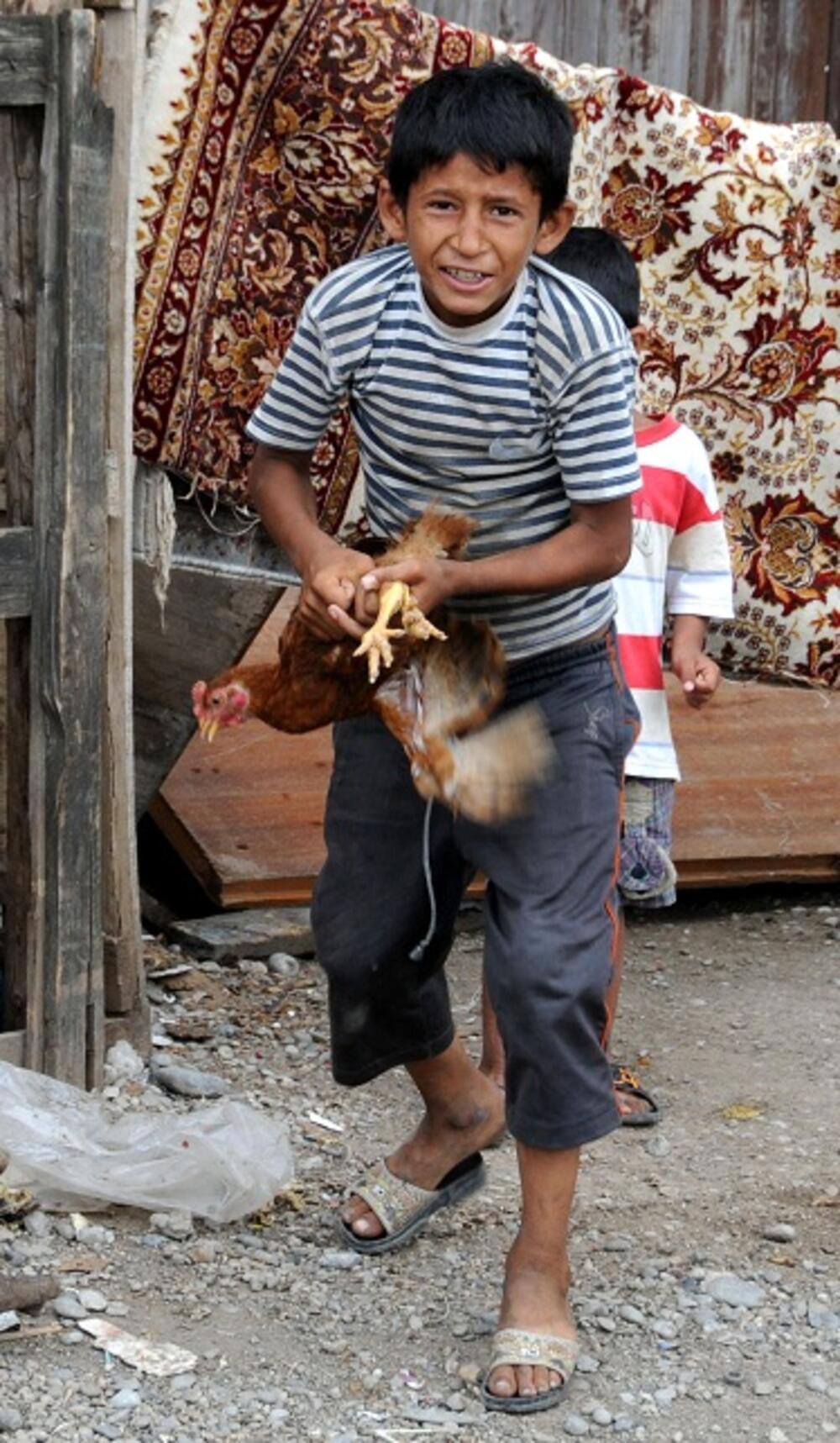 vrela ribnicka, romi. djeca