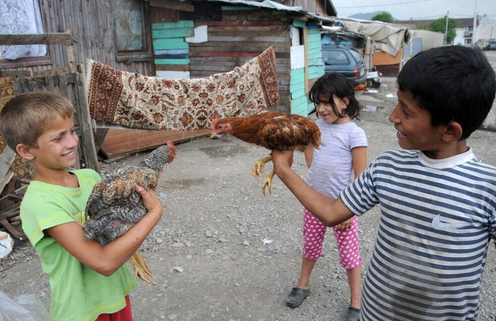 vrela ribnicka, romi. djeca