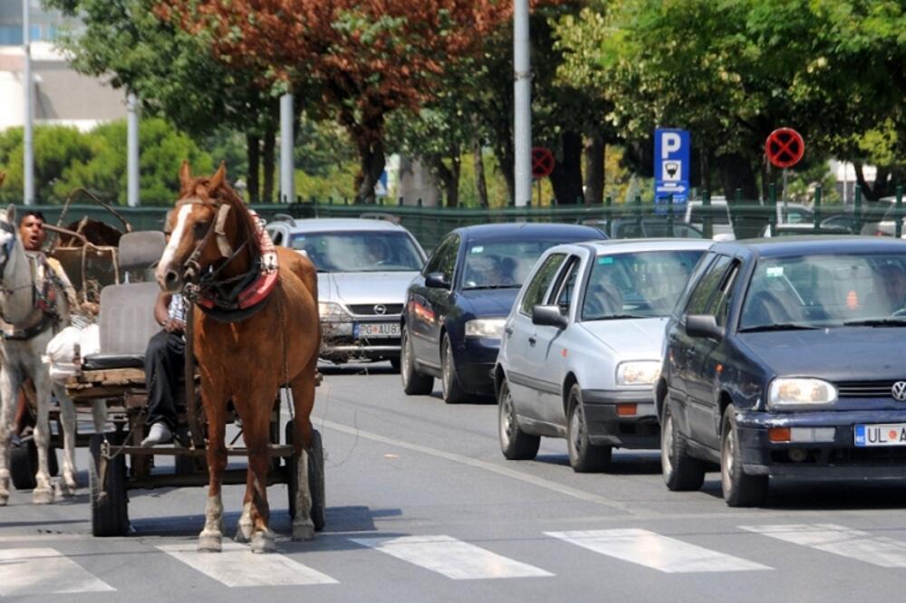 konji, zaprega,zeprezna kola, Foto: Boris Pejović