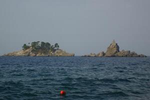 Ostrvo Katič kod Petrovca pod zaštitom države