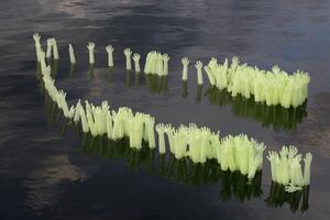 Hoće li Nikšić poslije dvije godine dobiti dermatologa?