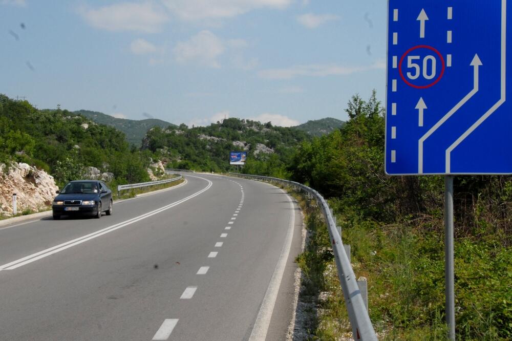 bogetići, Foto: Zoran Đurić