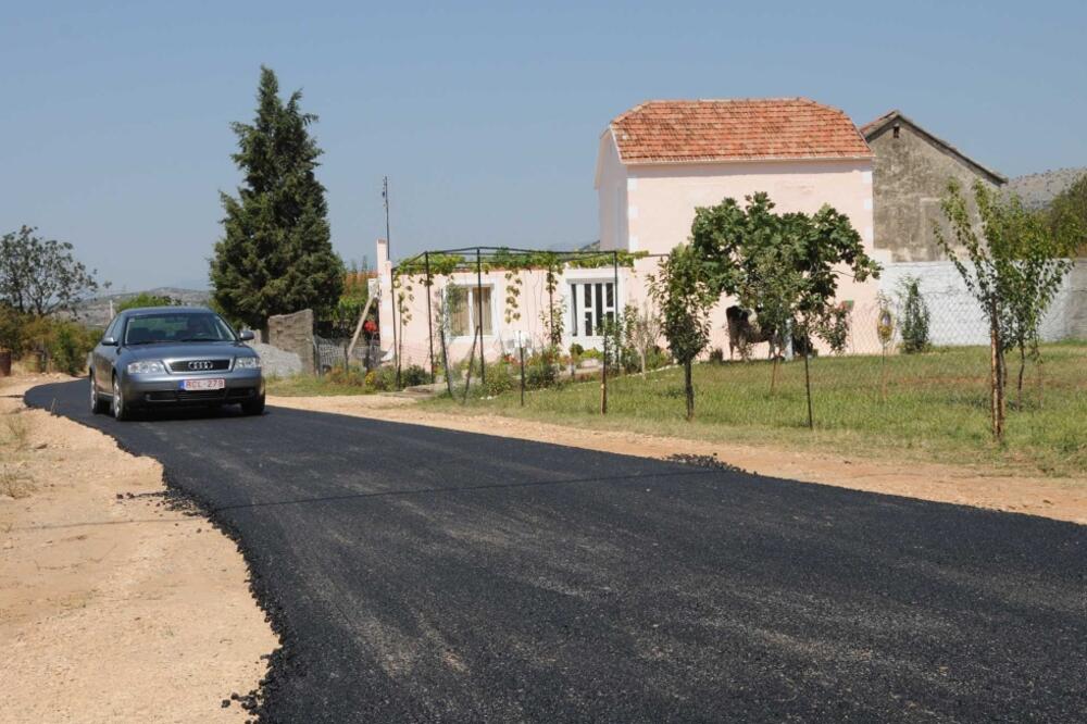 Dinoša, Foto: Vesko Belojević