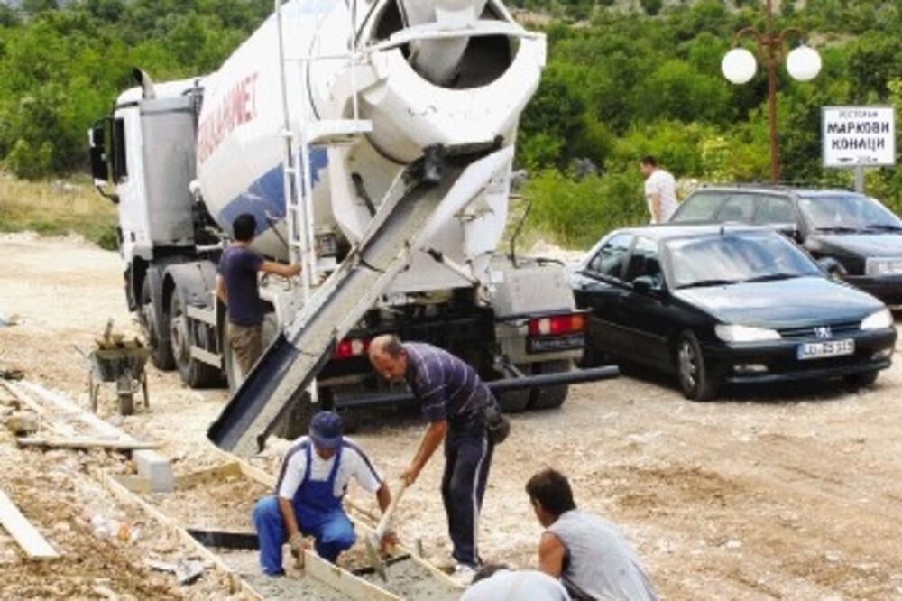 ždrebe_1, Foto: J. JOVANOVIĆ