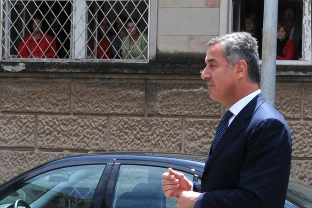 milo, Foto: Boris Pejović