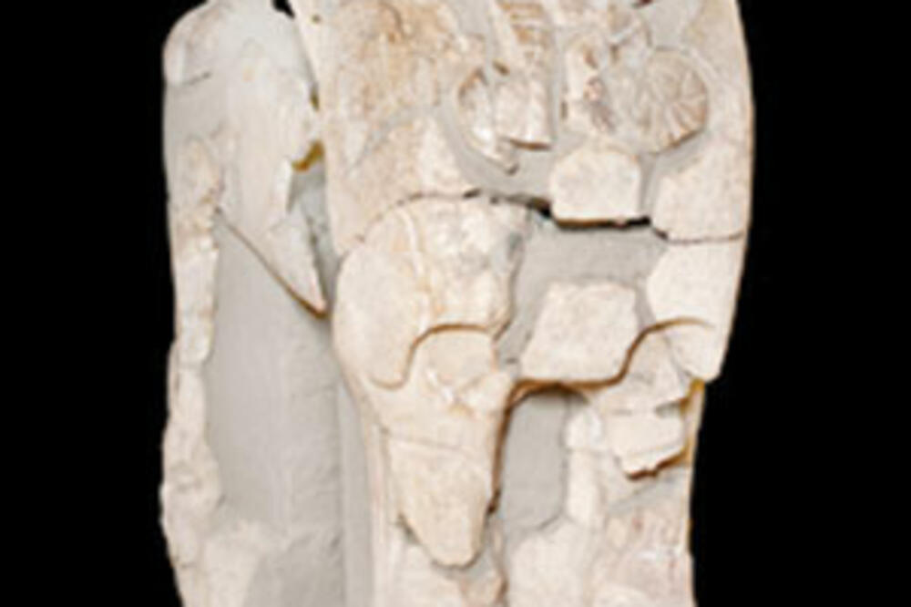 Sfinga iz bronzanog doba, Foto: Hurriyetdailynews.com