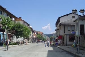 Pas lutalica ujeo Larisu (12), majka će sudskim putem tražiti...