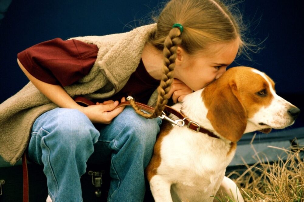 pas, Foto: Blog.caninekingdom.com