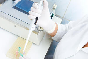 Britanski naučnici stvorili preko 150 ljudsko-životinjskih embriona