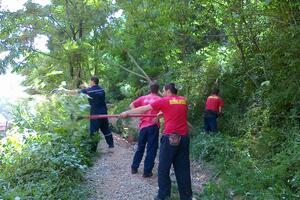 Sjekirama i kosjerima cetinjski vatrogasci ugasili požar na...
