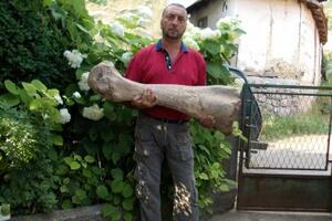 Srbijanac kopao pijesak, i našao kost mamuta staru 3.500 godina