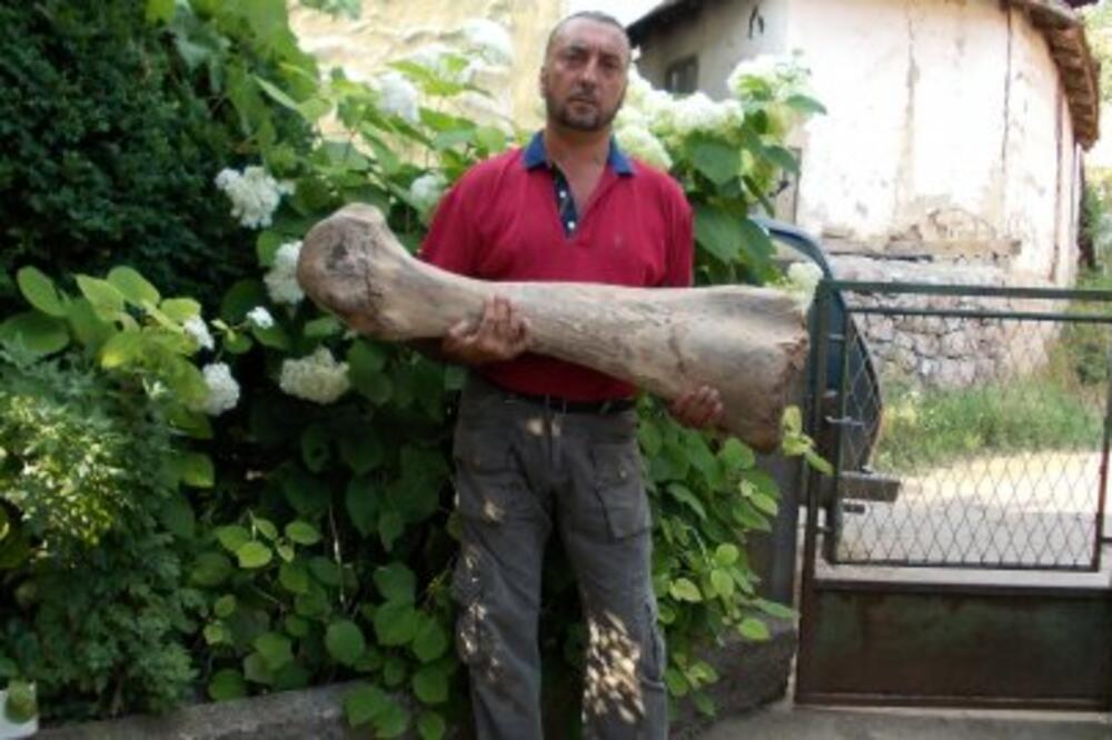Goran Mitić i kost mamuta, Foto: Blic.rs