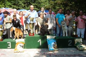 Patuljasta crna pudla Nora osvojila šampionski pehar na Cetinju