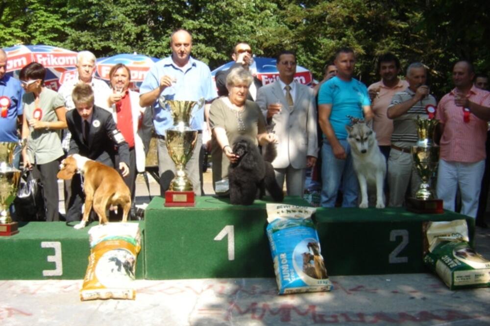 izložba pasa, Foto: Danijela Lasica