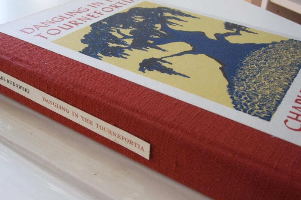 knjiga bukocski, Foto: Theoxenofthesun.blogspot.com