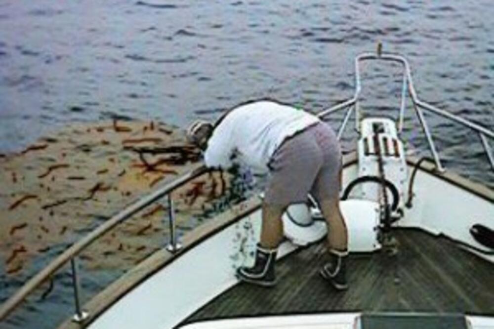 mučnina, Foto: Www.medtips.in