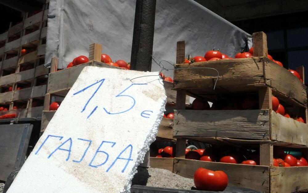 paradajz, distributivni centar