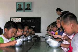 EU šalje hranu Sjevernoj Koreji koja gladuje, mnogi jedu travu