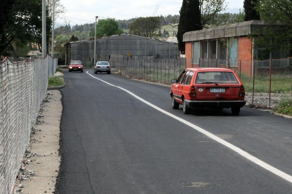 Masline, Foto: Arhiva Vijesti