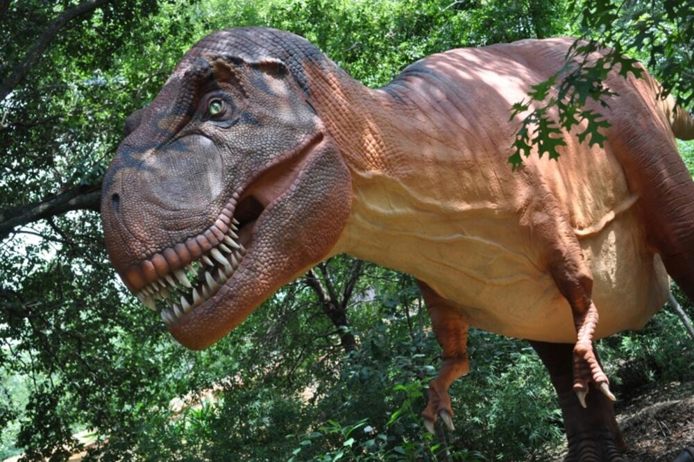 dinosaurus, Foto: Djc.com