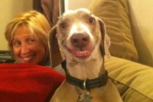 Pogledajte fotografiju najsrećnijeg psa