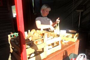 Kolašinci nijesu lijeni, ali pečurke slabo rodile