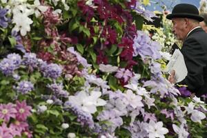 Što možemo naučiti od biljaka?