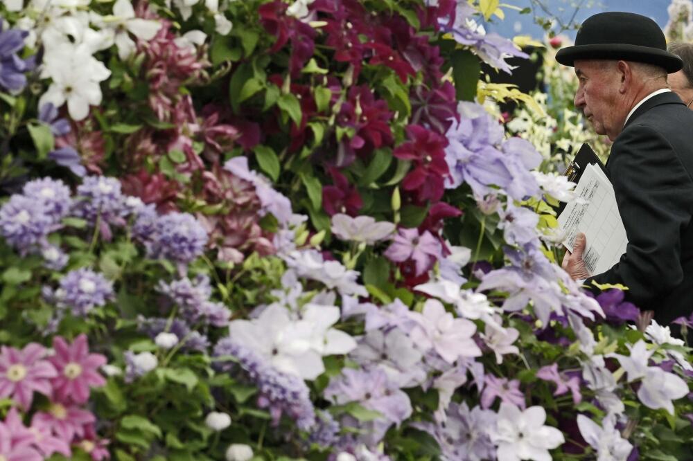 cvijeće, Foto: Rojters