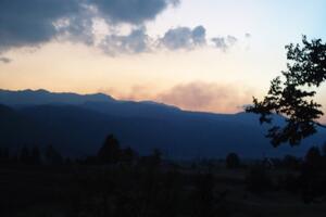 Na Goliji pronađen "dinosaurus među insektima"