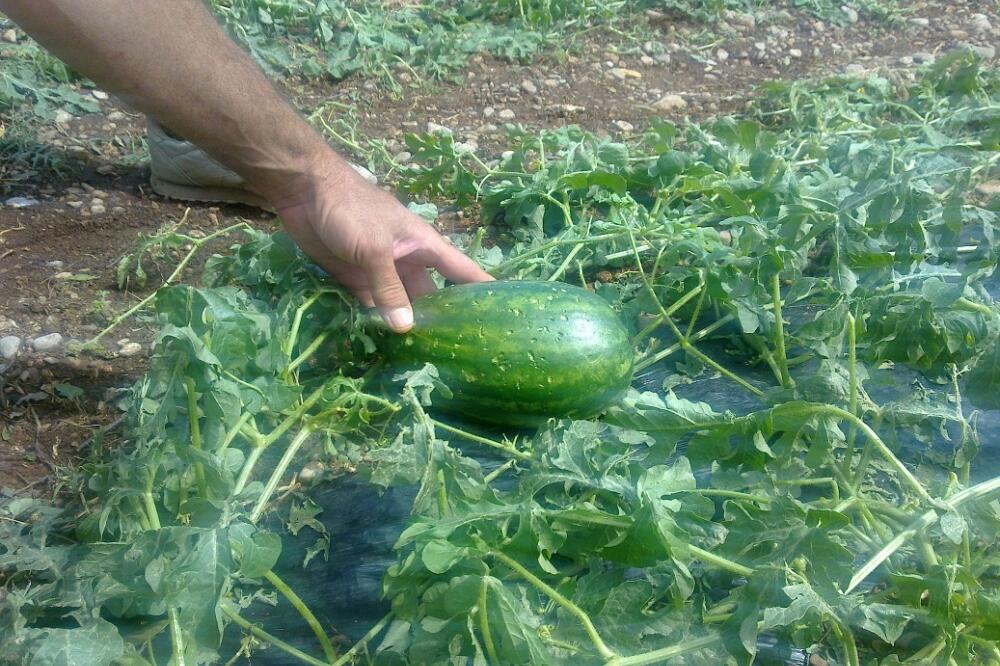 grad, Foto: Boris Pejović