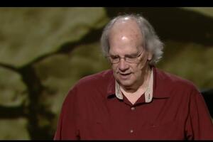 Kako od kokoške prave dinosaurusa, pa nastaje pinosaurs