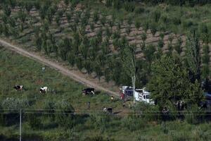 Gejts: U Siriji izvršen masakr, Asad nema legitimitet